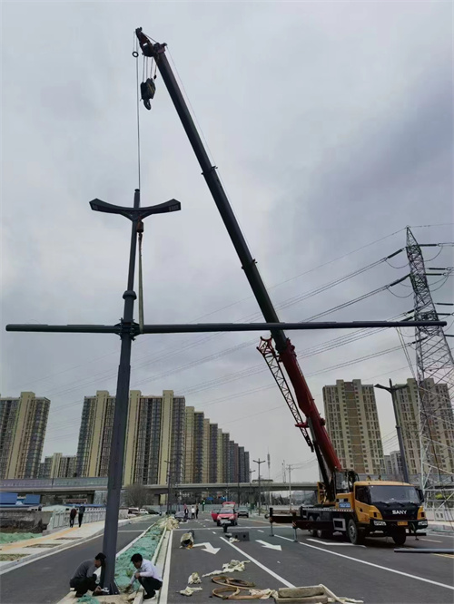 梁山道柠檬视频app下载安装施工